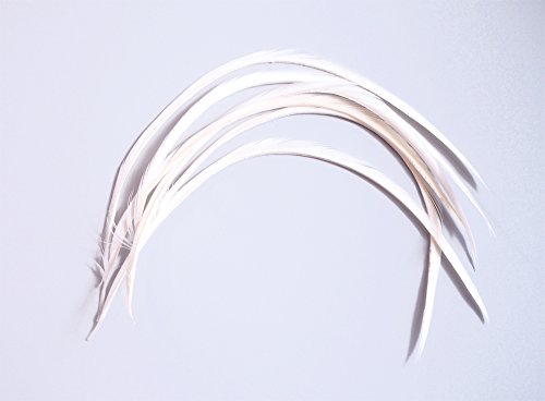 O[XoCIbg 6{ [025-Fe-01] zCg/tC}eA H H ޗ ނ ѐj  ^CCO p[c