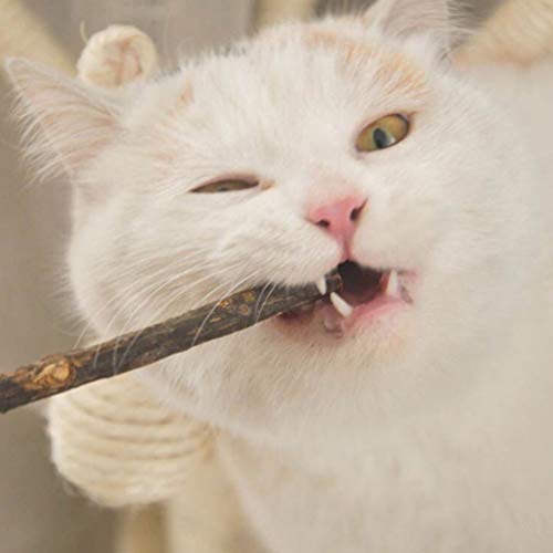 POPETPOP 5 peças de bastões de mastigar para gatos matatabi natural palitos de silvervina, ferrament