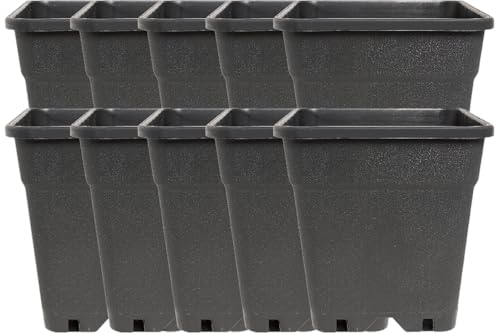 Imagro 10 x Topf in verschiedenen Größen vierkant schwarz Pflanztopf Flanzgefäß (5 Liter) Imagro 10 x Topf in verschiedenen Größen vierkant schwarz Pflanztopf Flanzgefäß (5 Liter)
