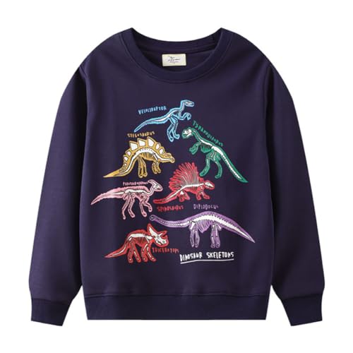 Boys Sweatshirts Long Sleeve Sweatshirts T-shirts Crew Neck Cotton Casual Sweatshirts Cartoon Tops for Boys-197