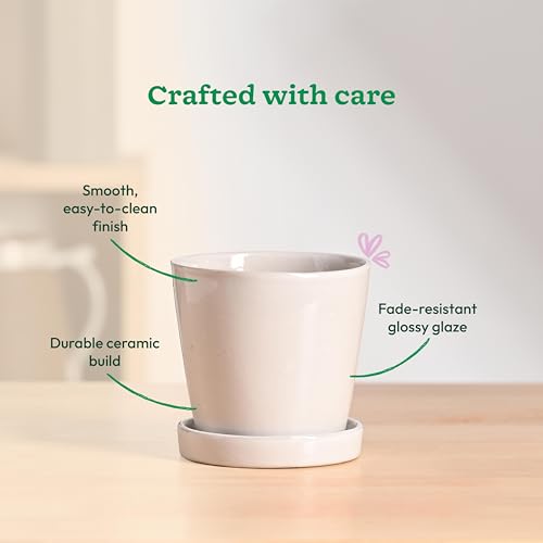 Image of UGAOO Table Top Ceramic Pot |Indoor Ceramic Planter for Home, Office, Garden, Balcony - White (4 Inch)