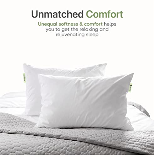 Choice Hotels CHOICE HOTEL GREEN LABEL Authentic Choice Hotels’ Polyester Luminesse Hypoallergenic Green Label Luxury Soft Pillow thumb #3