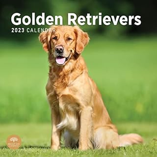 2023 Golden Retrievers Monthly Wall Calendar by Bright Day, 12 x 12 Inch, Cute Dog Puppy