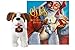 Cefa Toys- Elf Pets, Cuento y Peluche San Bernardo Imagen de Cefa Toys- Elf Pets, Cuento y Peluche San Bernardo