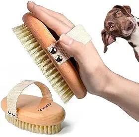 Escova de Cerdas Naturais Para Animais de Pelo Curto – Madeira de Faia, Massagem Relaxante, Hidrata e Dá Brilho à Pelagem – Suave, Ecológica e Ergonômica