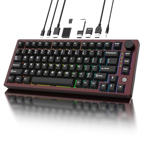 Sequin XQT FH75 Aluminum Mechanical Keyboard with USB-C Hub, Fingerprint Reader for Windows 10/11 Hello,75% Gaming Keyboard,USB-C Dock Station with 4K HDMI,USB 3.0,PD100W,Triple-Mode,Anodized Burgundy