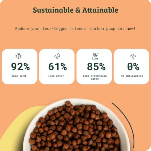 OMNI Vet Formulated Adult Dry Dog Food 2kg | Protein Rich Natural Ingredients Biscuits | Plant Powered Kibble Backed by Vets | Supported By Science, Planet Friendly and Made in UK