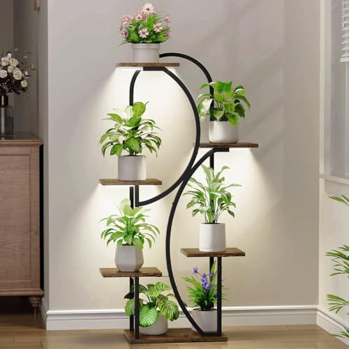 Best Arch Plant Stands to Elevate Your Greenery with Style - Totally ...