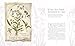 The Way of the Wildflower: Gospel Meditations to Unburden Your Anxious Soul