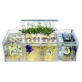 Acrylic Aquarium Transparent Fish Tank, Small Fish Tank with LED, Betta Fish Tank with 4 Grids, Dual Glass Desktop Mini DIY Aquarium, Multiple Betta Fish Tank for Table Furniture Decoration