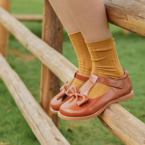 Image of Felix & Flora Toddler Little Girl Mary Jane Dress Shoes - Ballet Flats for Girl Party School Shoes