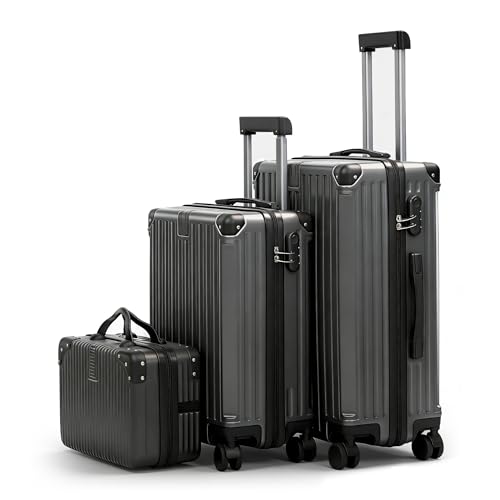 HEJIHUI Carry On Luggage with Spinner Wheels,PC Hard Shell Suitcase with USB Por...