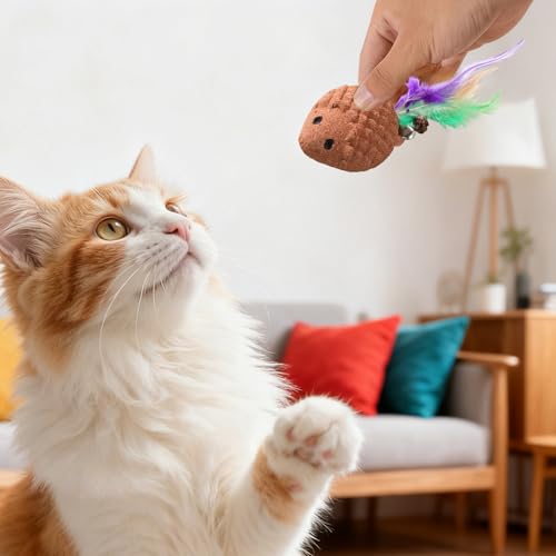 Lp肨 - ynlY~`qLpQ[ ۂƃxt - hIȔLp,qL V ƒp O vC g[jO GNTTCY XNb`|Xg o  V sp