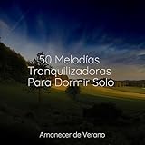 Amanecer de Verano