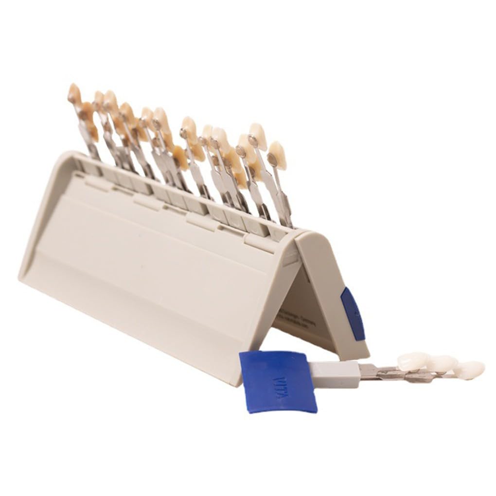 29 Couleurs Guide Teinte de Blanchiment des Dents Comparant le Modèle