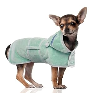 DENTRUN Bademantel für Hunde Klettverschluss am Kragen der Kleine Hunde Bademantel mit Hut hundehandtuch Dog Bathrobe Welsh Corgi Meer Schwimmen (Grün,S)