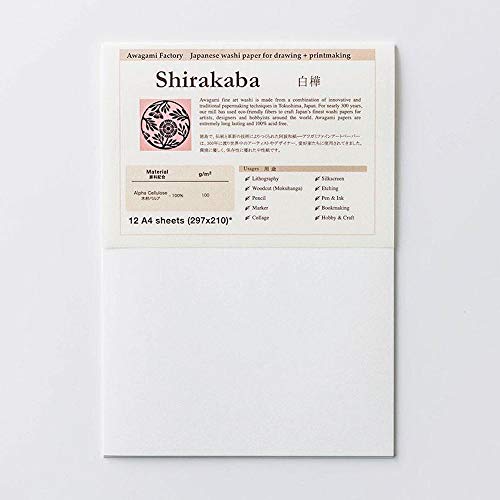 Awa Washi Awagami Fine Art Paper: Tokushima's Handmade Washi Sheets [2026] — 白樺 finish
