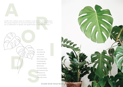 Plantopedia: The Definitive Guide to Houseplants - Image 2