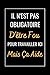 Il n'est pas Obligatoire D'être Fou: Un carnet de notes drôle pour les travailleurs et collègues au travail , Humour Marrant entre Amis