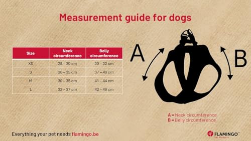 hundegeschirr - Flamingo Step&Go Pookie Beige M - A:30-35 cm B:41-44 cm x 5 mm - verstellbar - Metall Klickverschluss goldfarben - 2 Anti-Zug-Ringe - atmungsaktives Mesh