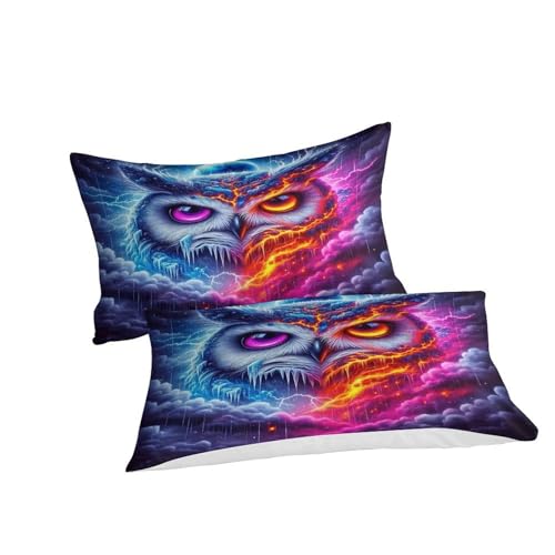 Housse de couette King 220x240cm motif 3D impression haute définition luxe - 3