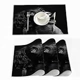 Set de Table (Lot de 4),Chiot Épagneul Springer Anglais Travail Six Mois Studio Shot Noir,Tapis de Table tissés en Vinyle à Tissage croisé, Ensemble de Tapis de Table lavables antidérapants 30x45 cm