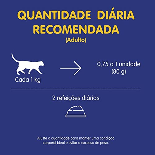 Purina Felix Nestlé Purina Felix Fantastic Deli Ração Úmida Para Gatos Adultos Carne 85G