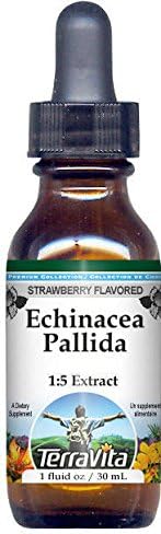 Miniatura 1 de TerraVita Extracto líquido de glicerita Echinacea Pallida (15) - Sabor a fresa (1 oz, ZIN 522413)