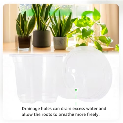 Macetas transparentes con drenaje pequeños tiestos de vivero para hidroponía exterior 6