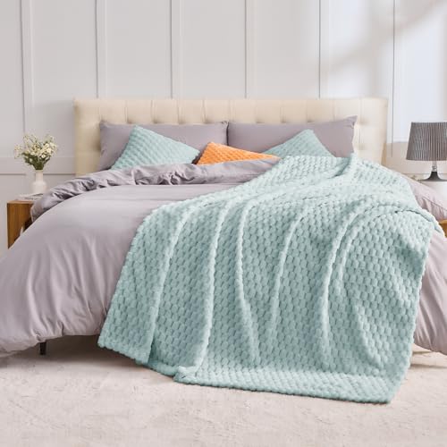 Vielit Kuscheldecke Flauschig 150x200 cm – Ultraweiche Fleecedecke für Couch & Sofa, Warme Wohn- & Kuscheldecke, Leichte Sofadecke, Gemütliche Couchdecke, Atmungsaktiv & Pflegeleicht Decke Grün