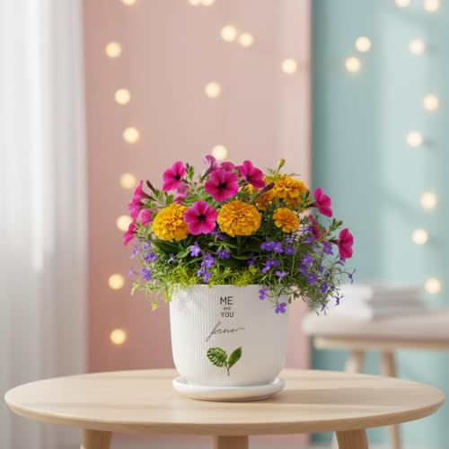 Image of Xtore Signature Ceramic Planter with Drainage Tray | Botanical Quote Print Flower Pot for Home, Study Table, Office Desk & Living Room Decor - (White, 1 Piece, Planter ONLY)