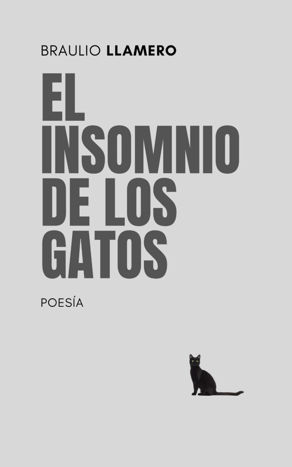 El insomnio de los gatos