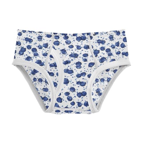 Boys' Exclusive Briefs Toddler Underwear 95% Combed Cotton Boxerbriefs 2T Blueberry Pattern 76