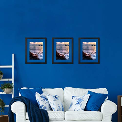 One Wall 16X20 Inch Floating Frame, Black Wood Double Glass Float Picture Frame Display 16X20/11X14 Inch Photos Or Plant Or Petal Specimens For Wall Hanging - Mounting Accessories Included #TOP4