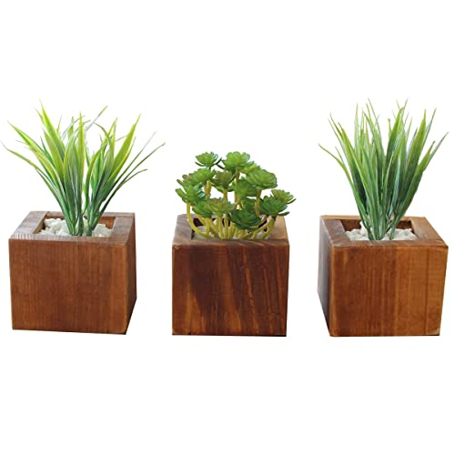 Vaso com suculentas decorativas