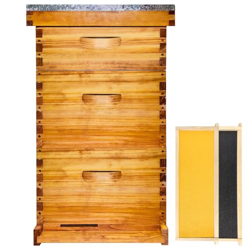 Gold Standard 10 Frame Bee Hive Beeswax Coate...