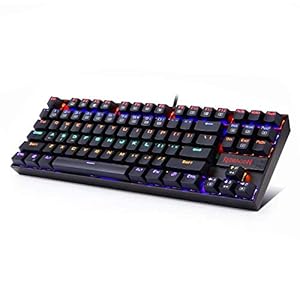 Redragon Kumara K552 Rainbow LED Backlit TKL Ten Key-Less Mechanical Wired Gaming Keyboard Without Numlock Keys (Black)
