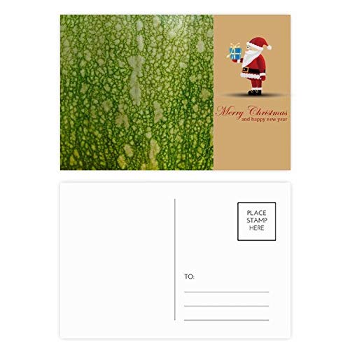 Cartes postales Père Noël Green Citrouille Peel pour décorer votre table de fête