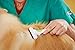 Andis 65760 Deshedding Tool for Cats & Dogs - Reduces Shedding up to 90% - Quick & Clean Grooming - Skin-Friendly Dematting brush with Non-Slip Rubber Handles