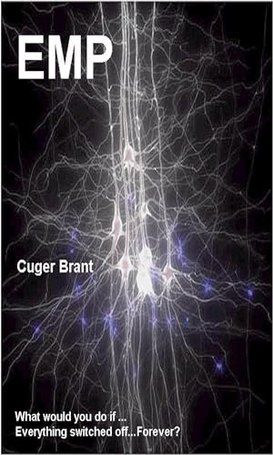 EMP: Electro-Magnetic Pulse view 2