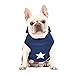 Marvel Legends Captain America Dog Costume, X-Large (XL) | Hooded Superhero Costume for Dogs | Blue & Red Captain America Costume Dog Halloween Costumes for Large Dogs | See Sizing Chart