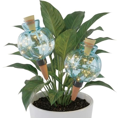 Giznity 19 oz Extra Large Plant Self Watering Globes Top
