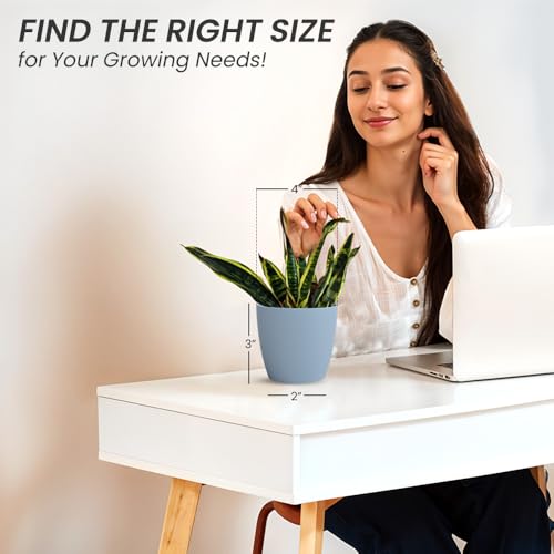 Image of YUCCABE ITALIA SHERA Stella 4 Inch Plastic Plant Pot for Home Decor Indoor Plant Pots for Living Room Plastic Flower Pot for Garden (Cyan, 4 INCH - 6 Pcs)