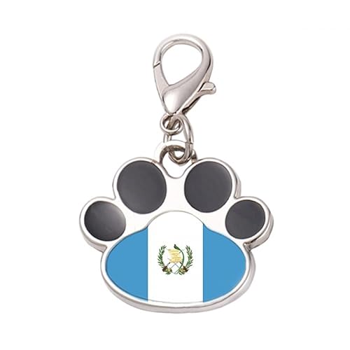 DIYthinker?Guatemala National Flag North America Country Pet Tag Keychain Dog Cat ID