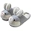 Grey Slipper