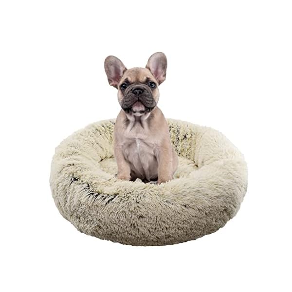 FuzzBall-Fluffy-Luxe-Pet-Bed-Calming-Donut-Cuddler–Machine-Washable-Waterproof-Base-Anti-Slip-for-Small-Dogs-and-Cats-up-to-25lbs FuzzBall-Fluffy-Luxe-Pet-Bed-Calming-Donut-Cuddler–Machine-Washable-Waterproof-Base-Anti-Slip-for-Small-Dogs-and-Cats-up-to-25lbs