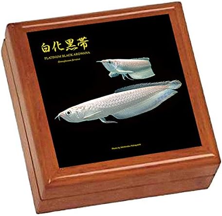 Amazon プラチナブラックアロワナの写真タイル付き小物入れ Jewelry Box 世界の熱帯魚シリーズ インテリア オンライン通販