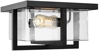 Generation Lighting 7541502-112 Mitte Flush Mount, 2-Light 120 Watts, Midnight Black