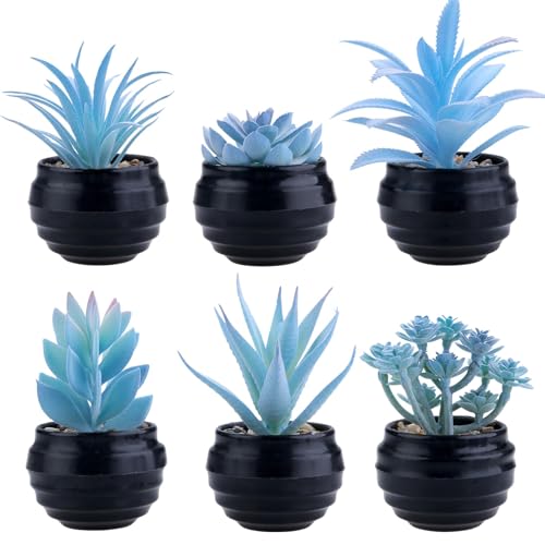 GREENTIME 6 Pcs Blue Artificial Succulent Plants in Mini Black