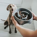 HUNTER ATLANTA Anti-Schlingnapf, Futternapf für Hunde und Katzen, zur kontrollierten und verlangsamten Futteraufnahme, 900 ml, grau